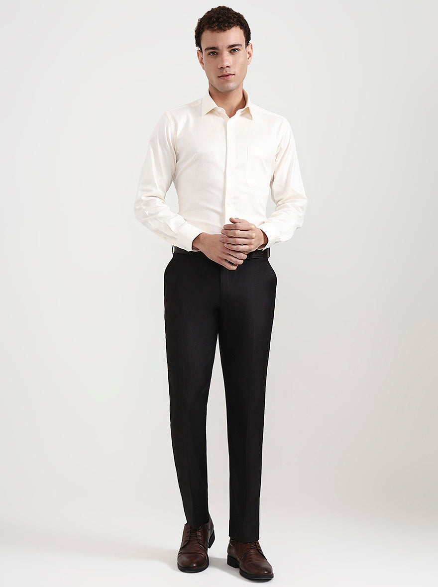 Brown Solid Regular Fit Formal Trouser | JadeBlue