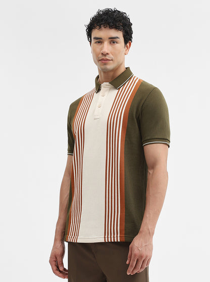 Olive & Cream Striped Slim Fit Polo T-Shirt | JadeBlue