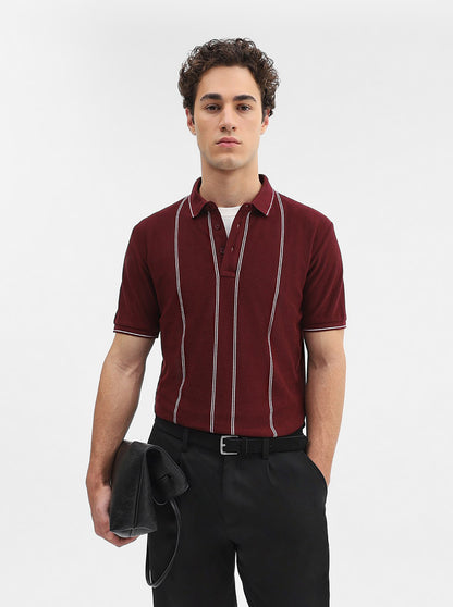 Maroon Striped Slim Fit Polo T-Shirt | JadeBlue