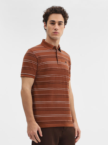 Brick Red Striped Slim Fit Polo T-Shirt | JadeBlue