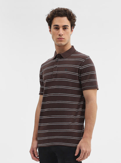 Brown & Black Striped Slim Fit Polo T-Shirt | JadeBlue
