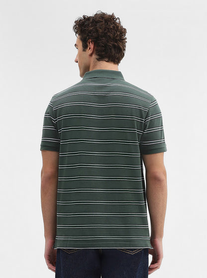 Olive & Black Striped Slim Fit Polo T-Shirt | JadeBlue