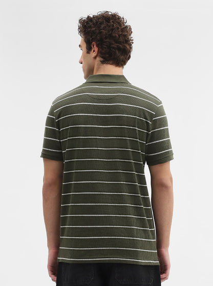 Olive Green Striped Slim Fit Polo T-Shirt | JadeBlue
