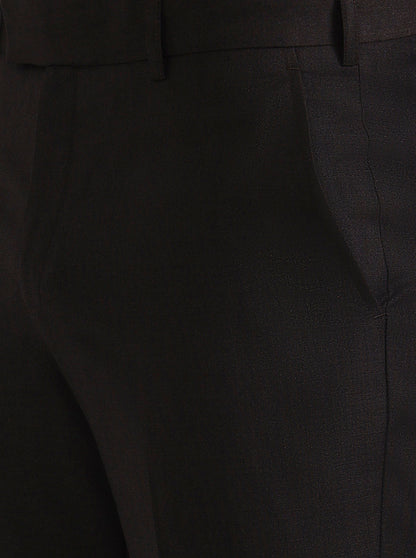 Brown Solid Regular Fit Formal Trouser | JadeBlue