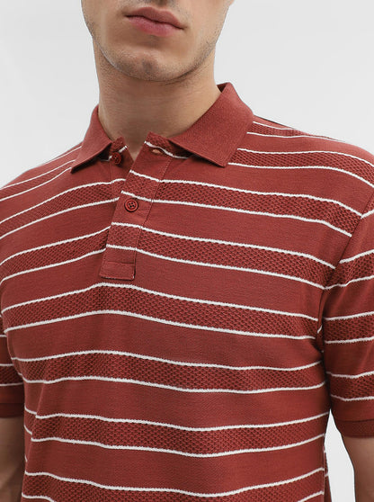 Rust & White Striped Slim Fit Polo T-Shirt | Greenfibre
