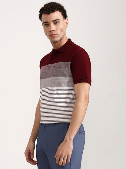Wine & White Striped Slim Fit Polo T-Shirt | Greenfibre