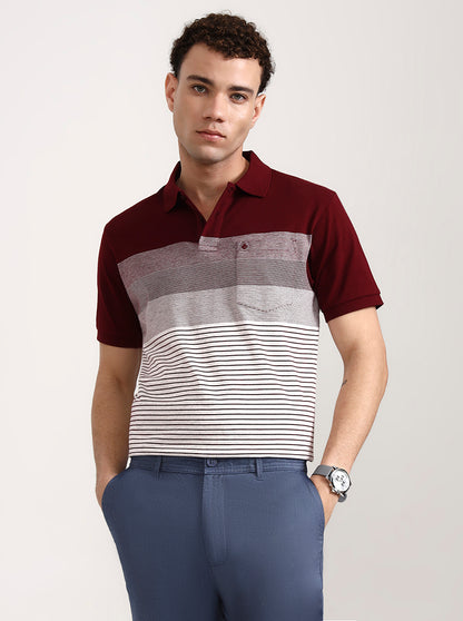 Wine & White Striped Slim Fit Polo T-Shirt | Greenfibre