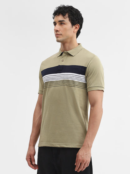 Olive Green & Navy Striped Slim Fit Polo T-Shirt | Greenfibre