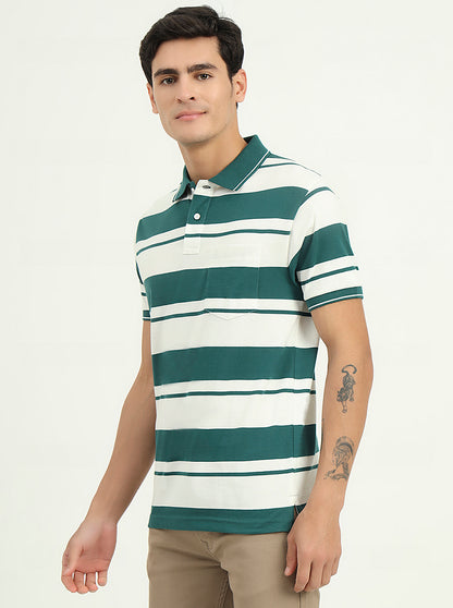 White & Bottle Green Striped Slim Fit Polo T-Shirt | Greenfibre