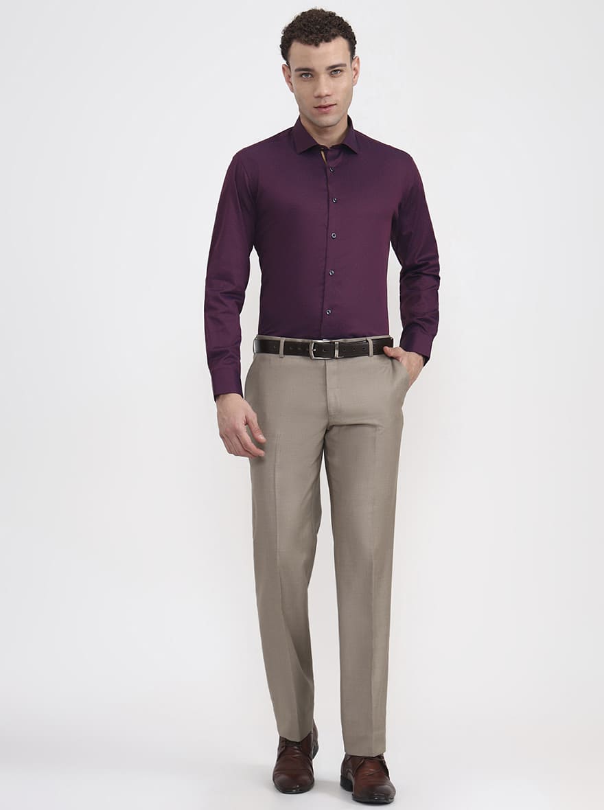 Beige Solid Regular Fit Formal Trouser | JadeBlue