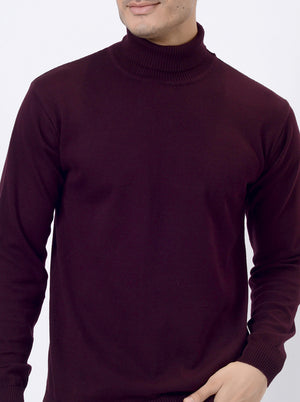 Wine Solid Regular Fit Winter T-Shirt | JadeBlue