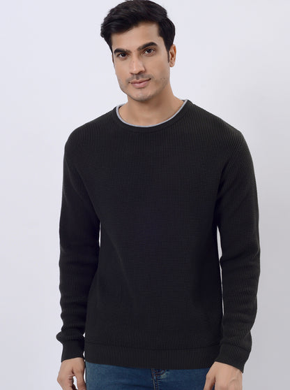 Dark Olive Solid Regular Fit Winter T-Shirt | JadeBlue